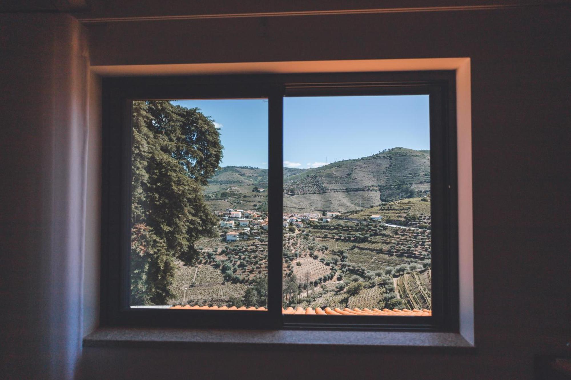 Quinta Da Portela Douro Armamar Εξωτερικό φωτογραφία